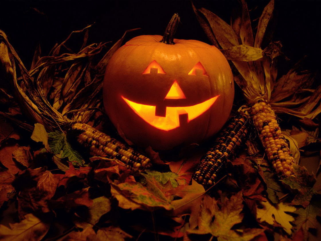 Herfstvakantie trainingen