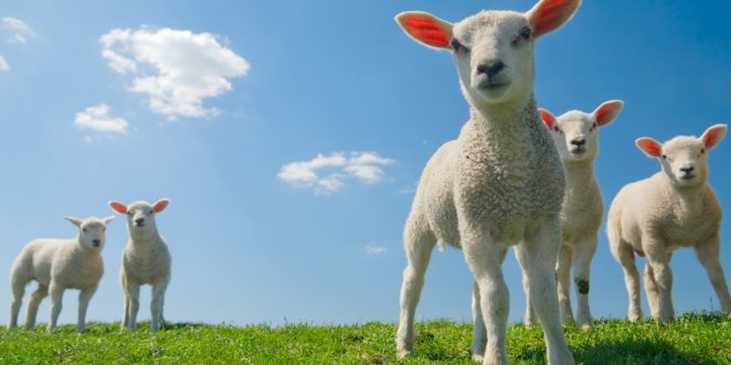 Trainingen Meivakantie gaan door